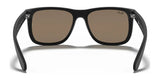 Ray-Ban JUSTIN RB4165 Sunglasses