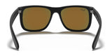 Ray-Ban JUSTIN RB4165 Sunglasses