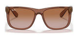 Ray-Ban JUSTIN RB4165 Sunglasses