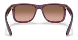 Ray-Ban JUSTIN RB4165 Sunglasses