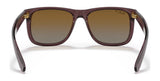 Ray-Ban JUSTIN RB4165 Sunglasses