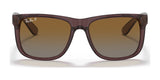 Ray-Ban JUSTIN RB4165 Sunglasses