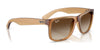 Ray-Ban JUSTIN RB4165 Sunglasses / Black №601/71 / Dark Green (3N 12.9%) / Size 55