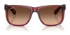 Ray-Ban JUSTIN RB4165 Sunglasses / Black №601/71 / Dark Green (3N 12.9%) / Size 55