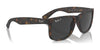 Ray-Ban JUSTIN RB4165 Sunglasses / Black №601/71 / Dark Green (3N 12.9%) / Size 55