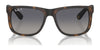 Ray-Ban JUSTIN RB4165 Sunglasses / Black №601/71 / Dark Green (3N 12.9%) / Size 55