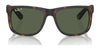 Ray-Ban JUSTIN RB4165 Sunglasses / Black №601/71 / Dark Green (3N 12.9%) / Size 55