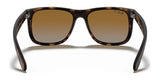 Ray-Ban JUSTIN RB4165 Sunglasses