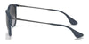 Ray-Ban ERIKA RB4171 Sunglasses | Size 54 / Light Havana №710/71 / G-15 Green (3N 12.9%)