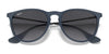 Ray-Ban ERIKA RB4171 Sunglasses | Size 54 / Light Havana №710/71 / G-15 Green (3N 12.9%)