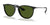 Ray-Ban ERIKA RB4171 Sunglasses | Size 54 / Black №601/2P