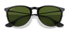 Ray-Ban ERIKA RB4171 Sunglasses | Size 54 / Light Havana №710/71 / G-15 Green (3N 12.9%)
