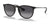 Ray-Ban ERIKA RB4171 Sunglasses | Size 54 / Rubber Black №622/8G