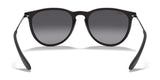 Ray-Ban ERIKA RB4171 Sunglasses | Size 54