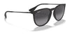 Ray-Ban ERIKA RB4171 Sunglasses | Size 54 / Light Havana №710/71 / G-15 Green (3N 12.9%)