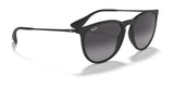 Ray-Ban ERIKA RB4171 Sunglasses | Size 54