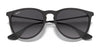 Ray-Ban ERIKA RB4171 Sunglasses | Size 54 / Light Havana №710/71 / G-15 Green (3N 12.9%)