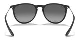 Ray-Ban ERIKA RB4171 Sunglasses | Size 54