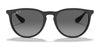 Ray-Ban ERIKA RB4171 Sunglasses | Size 54 / Light Havana №710/71 / G-15 Green (3N 12.9%)