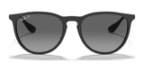 Ray-Ban ERIKA RB4171 Sunglasses | Size 54