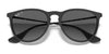 Ray-Ban ERIKA RB4171 Sunglasses | Size 54 / Light Havana №710/71 / G-15 Green (3N 12.9%)