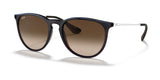 Ray-Ban ERIKA RB4171 Sunglasses | Size 54