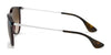 Ray-Ban ERIKA RB4171 Sunglasses | Size 54 / Light Havana №710/71 / G-15 Green (3N 12.9%)