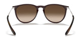 Ray-Ban ERIKA RB4171 Sunglasses | Size 54