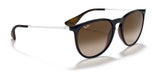 Ray-Ban ERIKA RB4171 Sunglasses | Size 54