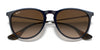 Ray-Ban ERIKA RB4171 Sunglasses | Size 54 / Light Havana №710/71 / G-15 Green (3N 12.9%)