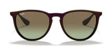 Ray-Ban ERIKA RB4171 Sunglasses | Size 54