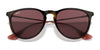 Ray-Ban ERIKA RB4171 Sunglasses | Size 54 / Light Havana №710/71 / G-15 Green (3N 12.9%)
