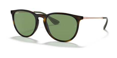 Ray-Ban ERIKA RB4171 Sunglasses | Size 54