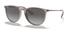 Ray-Ban ERIKA RB4171 Sunglasses | Size 54 / Transparent Grey №65138G / Grey Gradient (3N 15.2%)