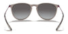 Ray-Ban ERIKA RB4171 Sunglasses | Size 54 / Light Havana №710/71 / G-15 Green (3N 12.9%)