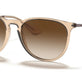 Transparent Brown №651413