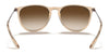 Ray-Ban ERIKA RB4171 Sunglasses | Size 54 / Light Havana №710/71 / G-15 Green (3N 12.9%)