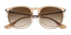 Ray-Ban ERIKA RB4171 Sunglasses | Size 54 / Light Havana №710/71 / G-15 Green (3N 12.9%)