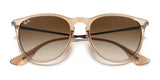 Ray-Ban ERIKA RB4171 Sunglasses | Size 54