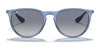 Ray-Ban ERIKA RB4171 Sunglasses | Size 54 / Light Havana №710/71 / G-15 Green (3N 12.9%)