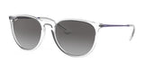 Ray-Ban ERIKA RB4171 Sunglasses | Size 54