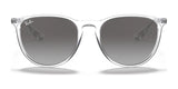 Ray-Ban ERIKA RB4171 Sunglasses | Size 54