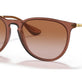 Transparent Light Brown №659013