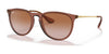 Ray-Ban ERIKA RB4171 Sunglasses | Size 54 / Transparent Light Brown №659013 / Gradient Brown (2N 25.5%)