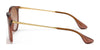 Ray-Ban ERIKA RB4171 Sunglasses | Size 54 / Light Havana №710/71 / G-15 Green (3N 12.9%)