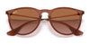 Ray-Ban ERIKA RB4171 Sunglasses | Size 54 / Light Havana №710/71 / G-15 Green (3N 12.9%)