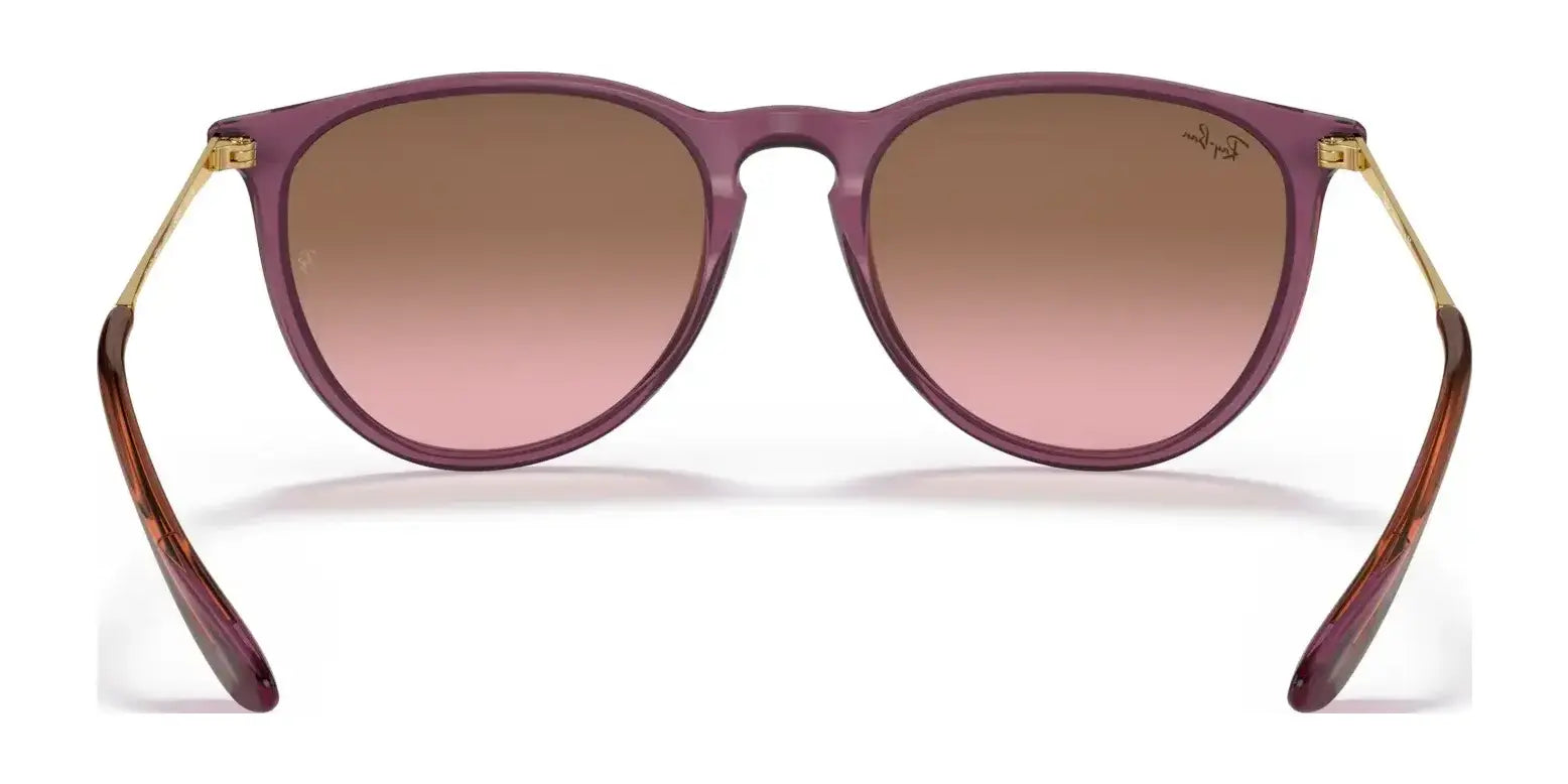 Ray-Ban ERIKA RB4171 Sunglasses | Size 54