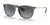 Ray-Ban ERIKA RB4171 Sunglasses | Size 54 / Transparent Blue №6592T3