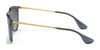 Ray-Ban ERIKA RB4171 Sunglasses | Size 54 / Light Havana №710/71 / G-15 Green (3N 12.9%)