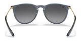 Ray-Ban ERIKA RB4171 Sunglasses | Size 54